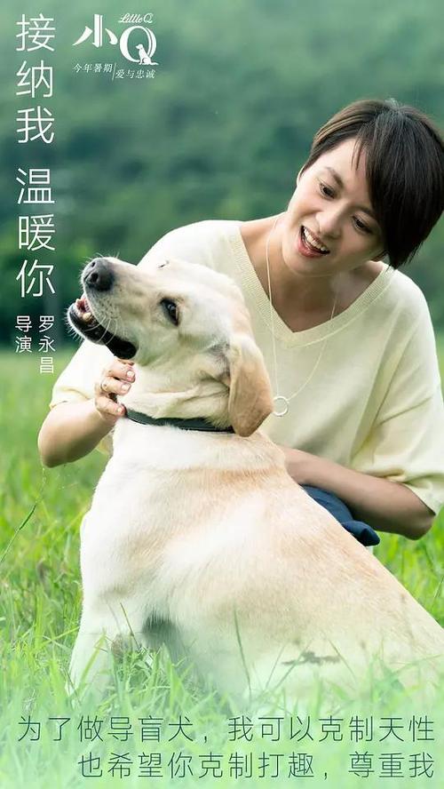 哪里能买到科罗拉多基督大学文凭